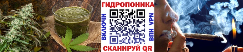 KRAKEN ТОР  Можайск  Cannafood конопля  как найти наркотики 