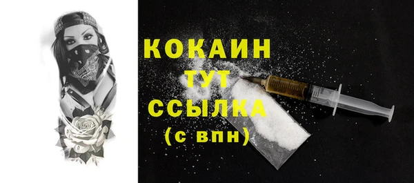 Альфа ПВП Бородино