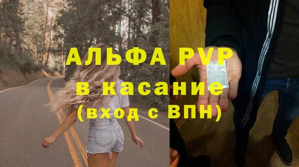 Альфа ПВП Бородино