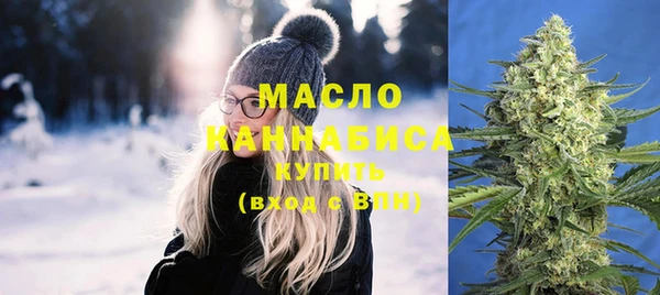 Альфа ПВП Бородино
