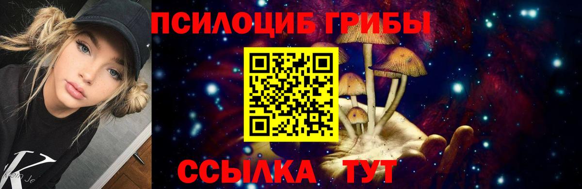 Можайск  Псилоцибиновые грибы мухоморы  Псилоцибиновые грибы Psilocybine cubensis  Вход с VPN 